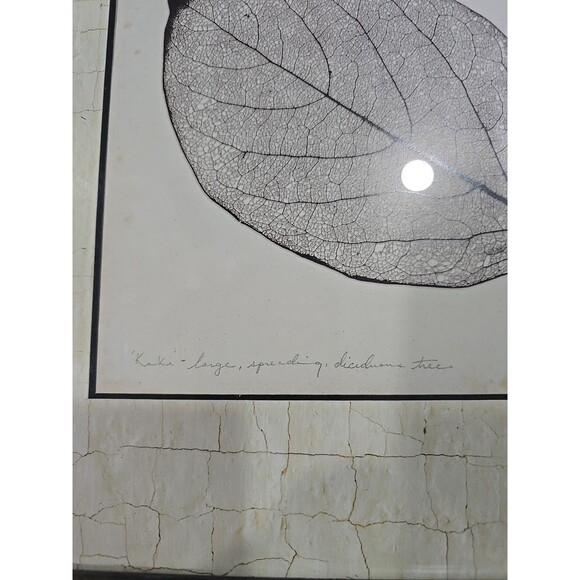 Persimmon Leaf Booker Morey Framed Art Print 13x13 SIGNED RARE - Picture 3 of 9